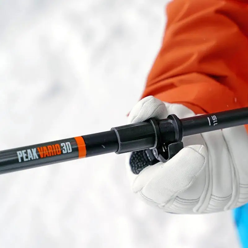 Bâton de marche nordique ski