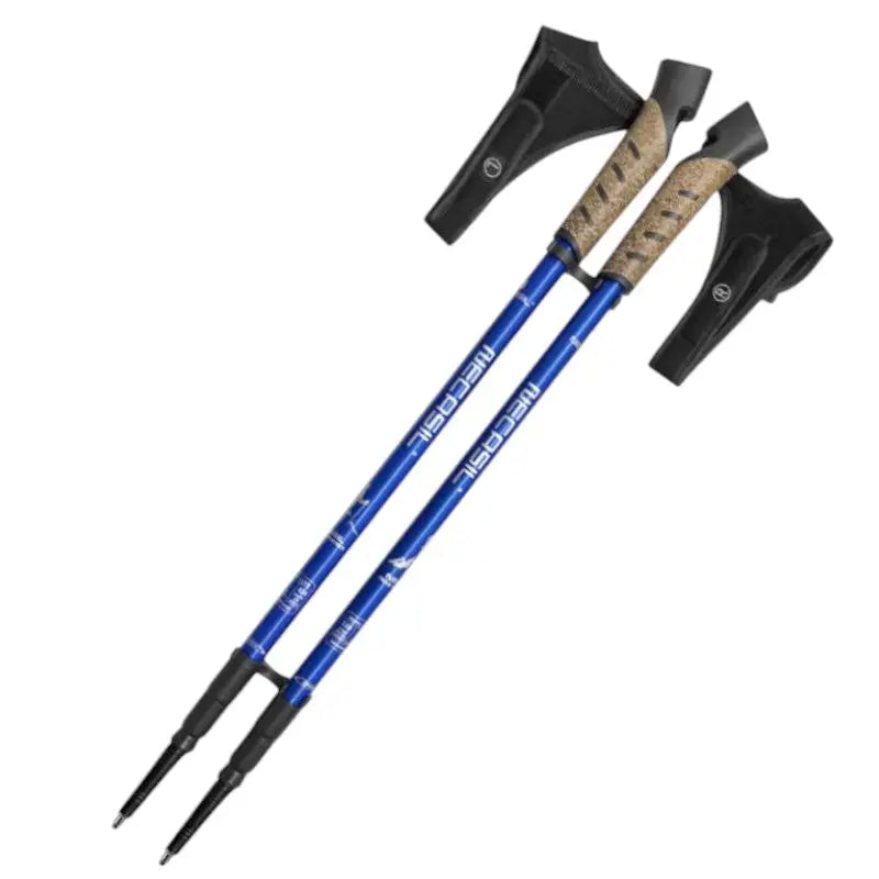 Bâton de marche nordique sport