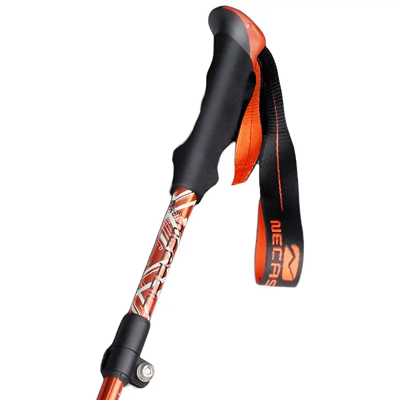 Baton de trail
