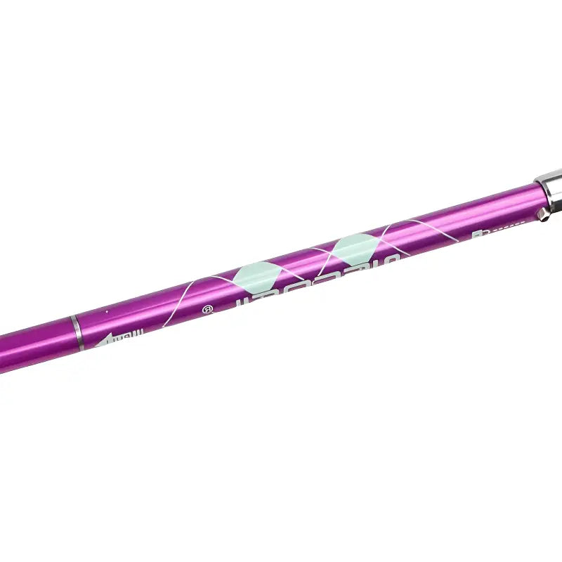 Baton de trail