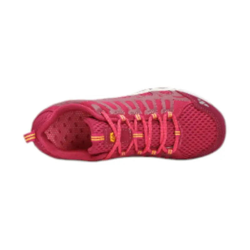 Chaussure de marche montagne