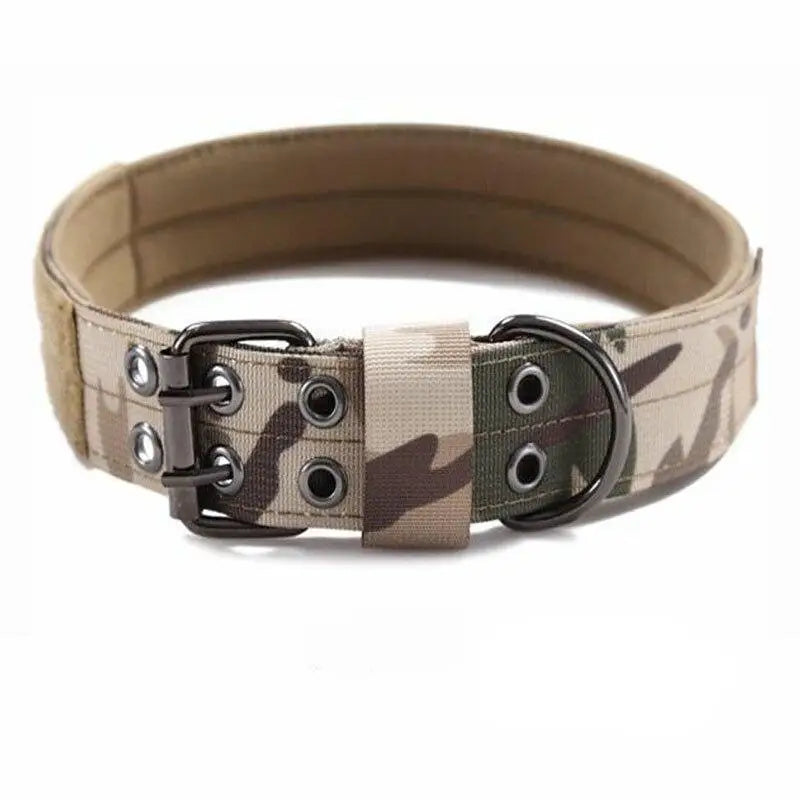 Collier chien militaire