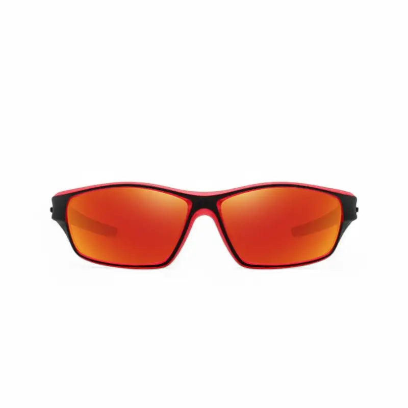 Lunettes à verres polarisants