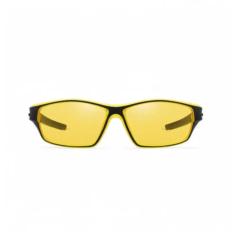 Lunettes à verres polarisants