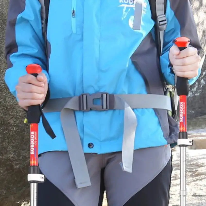 Meilleur bâton de randonnée