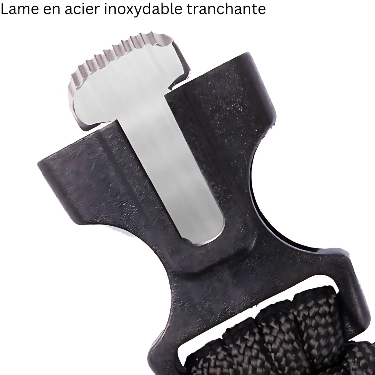 Montre survie randonnée