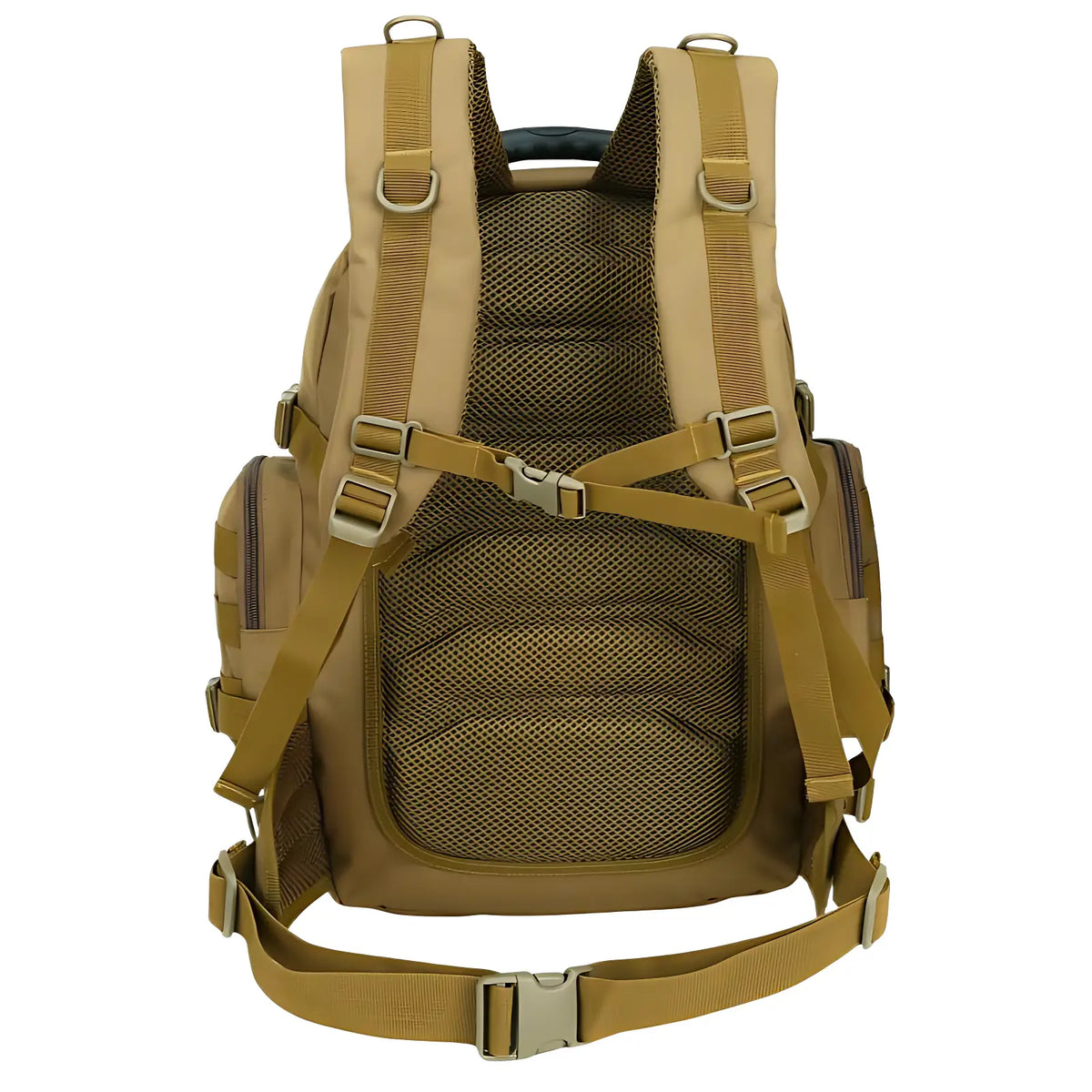 Sac f1
