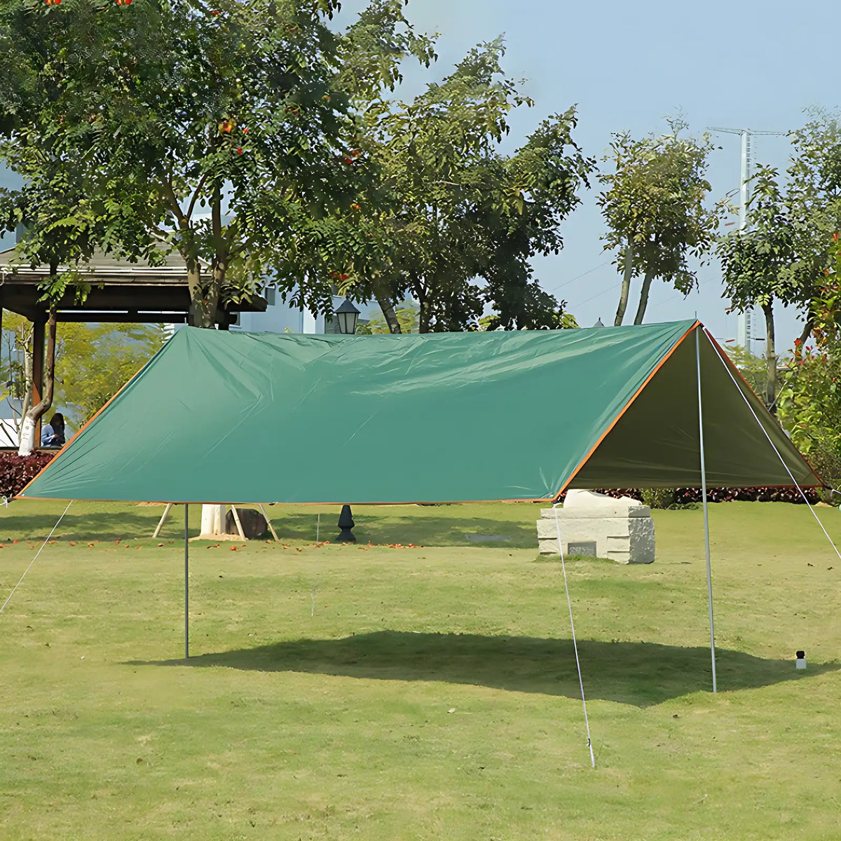 Tarps