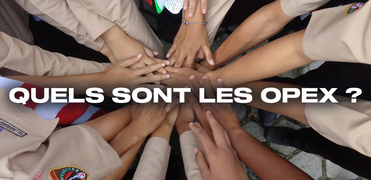 Quels sont les OPEX ?