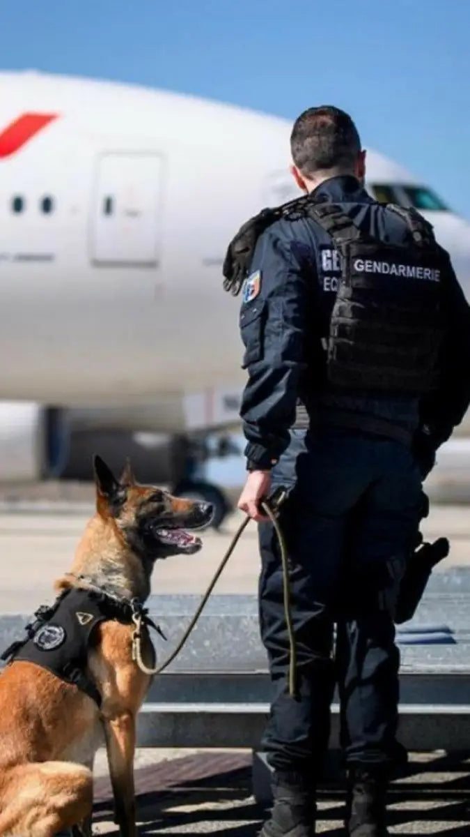 comment-rendre-honneurs-militaires