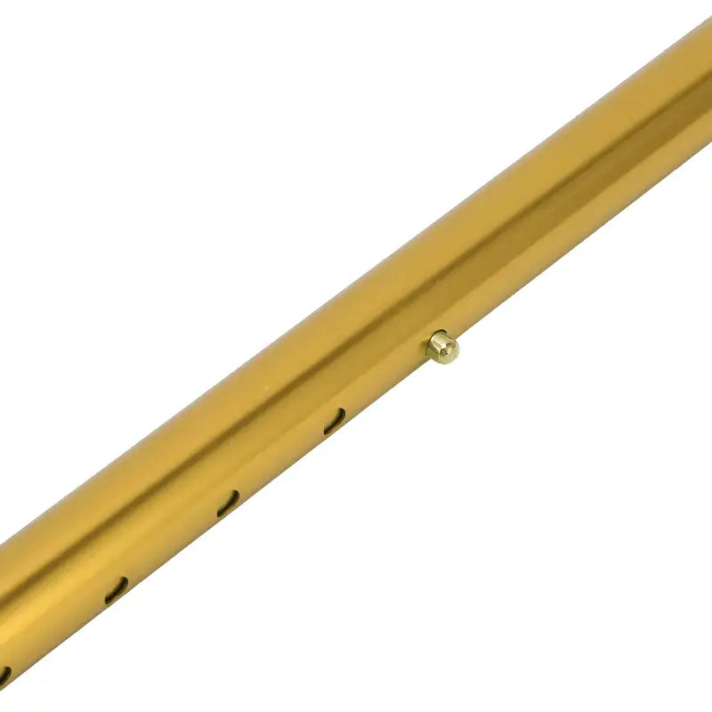 Bâton de marche canne randonnée