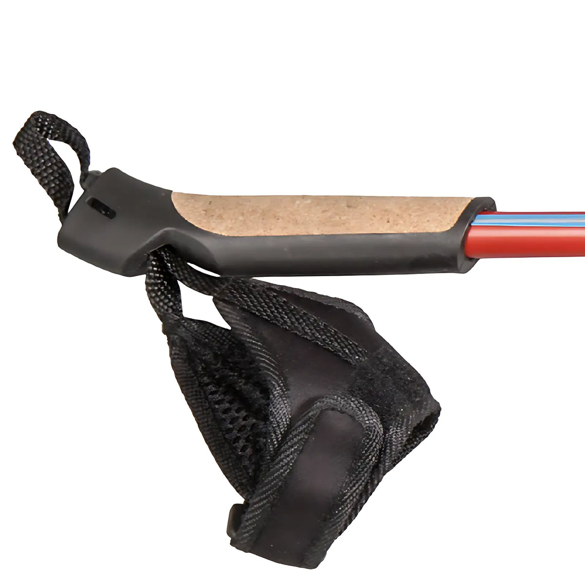 Bâton de marche nordique ski