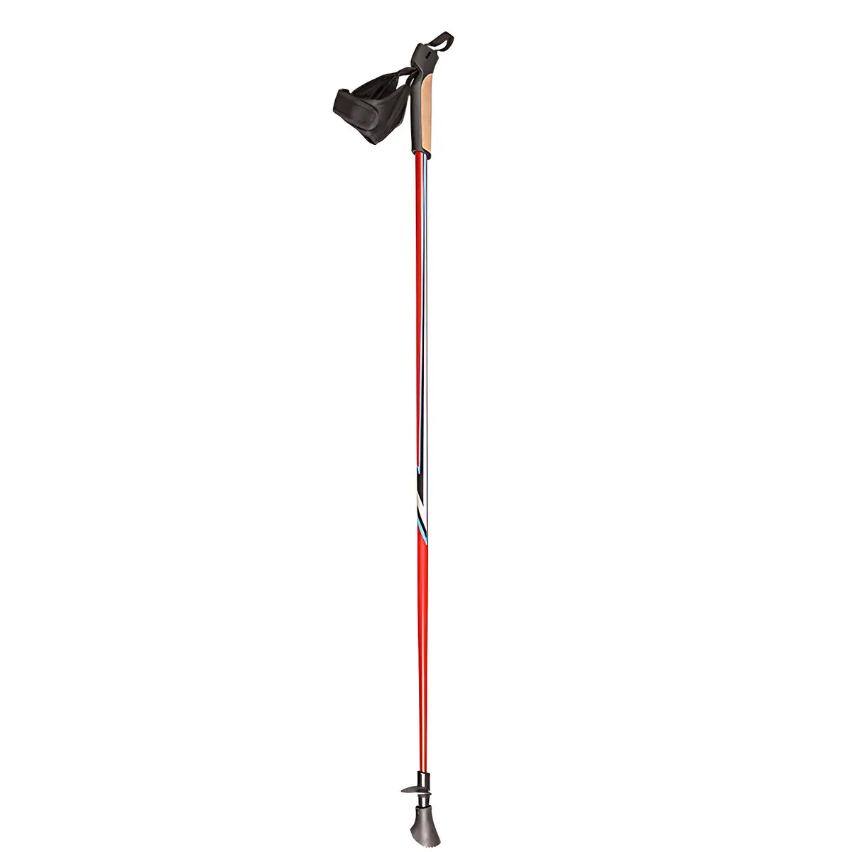 Bâton de marche nordique ski