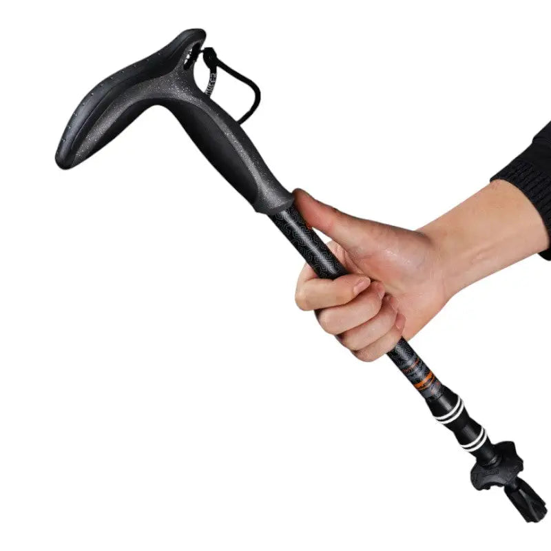 baton de randonnée en carbone