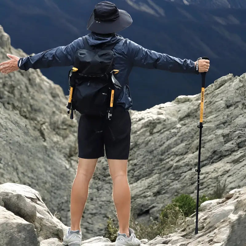 Bâton de randonnée montagne