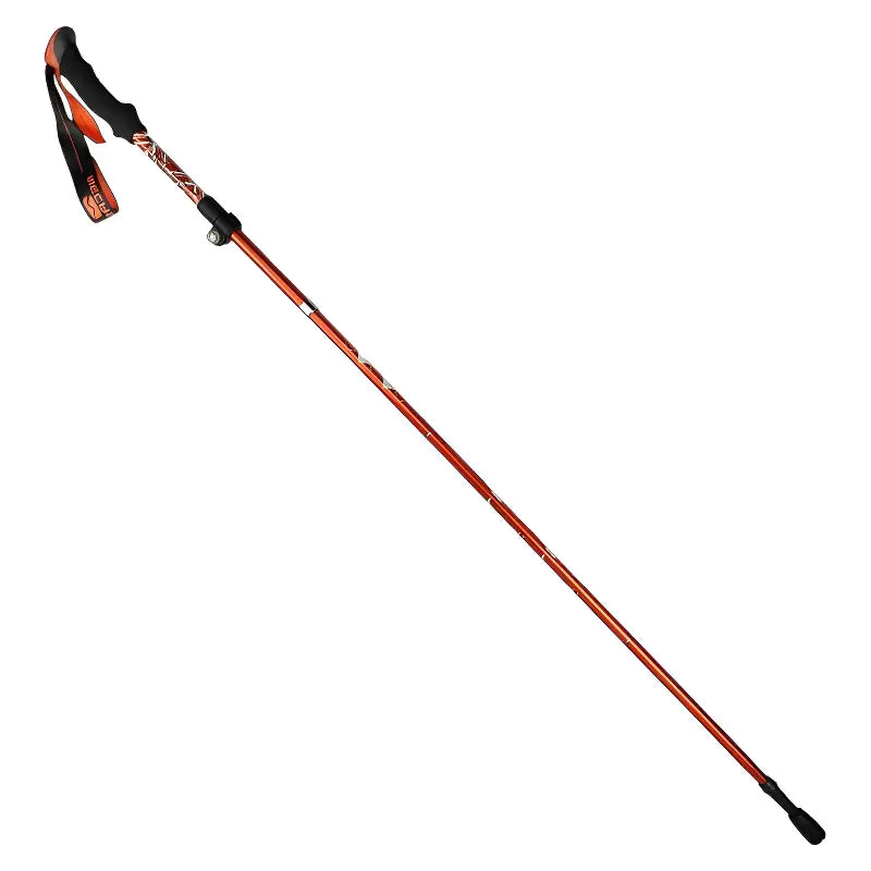 Baton de trail