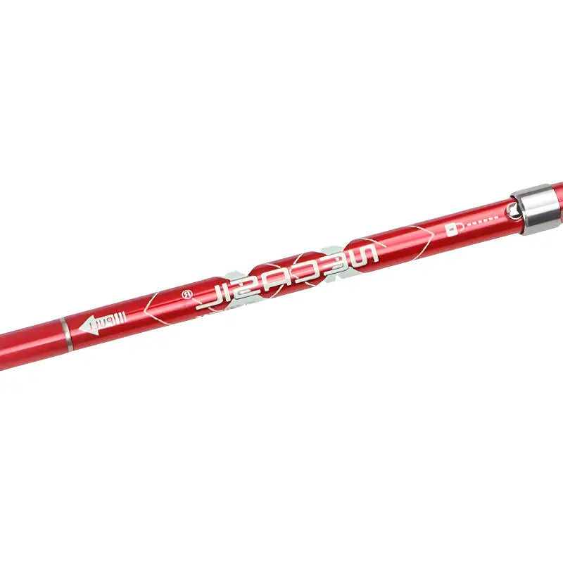 Baton de trail
