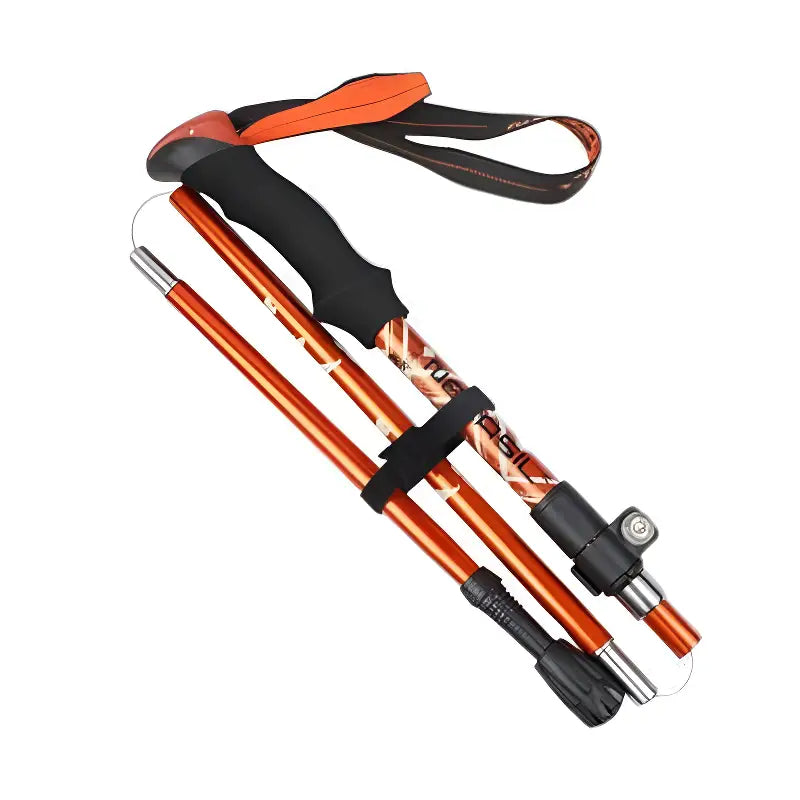 Baton de trail