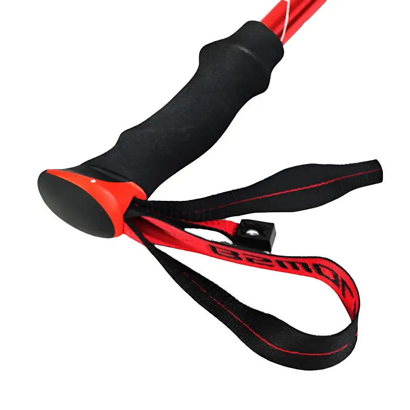 Baton de trail mixte