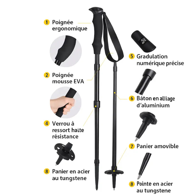 Baton de trail trek en montagne