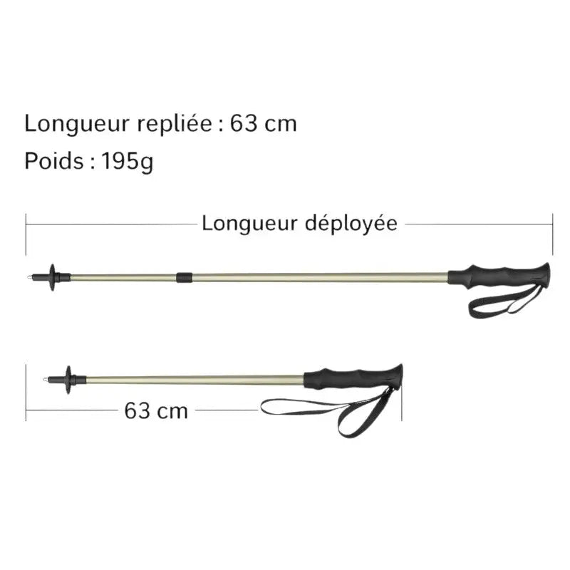 Baton de trail trek en montagne
