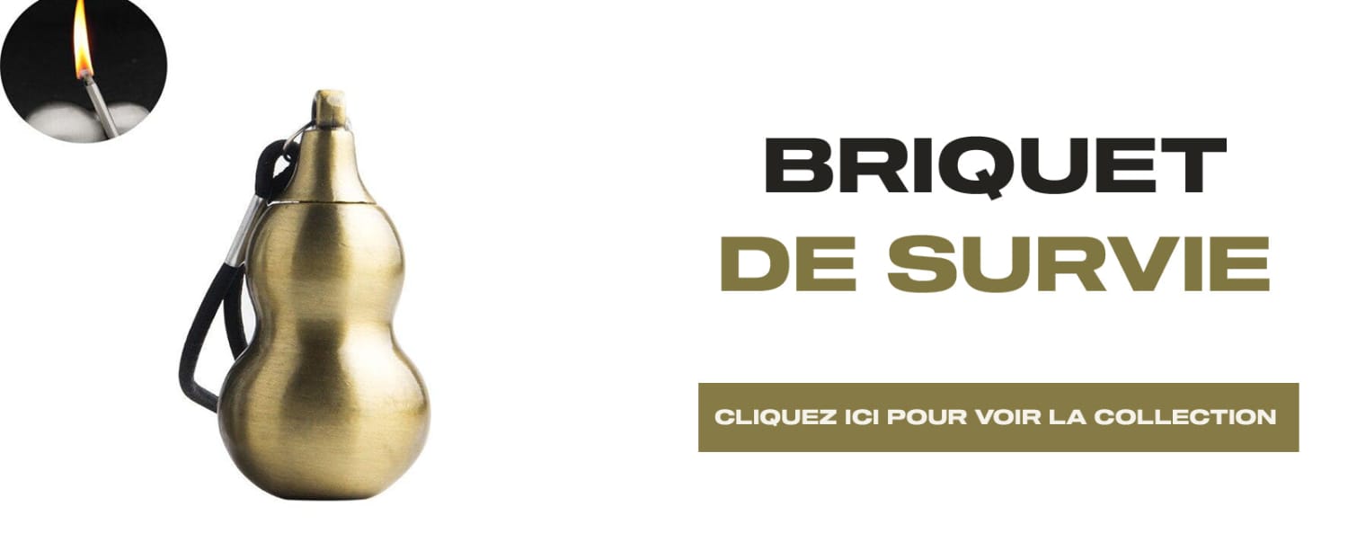 quel-type-de-briquet-choisir