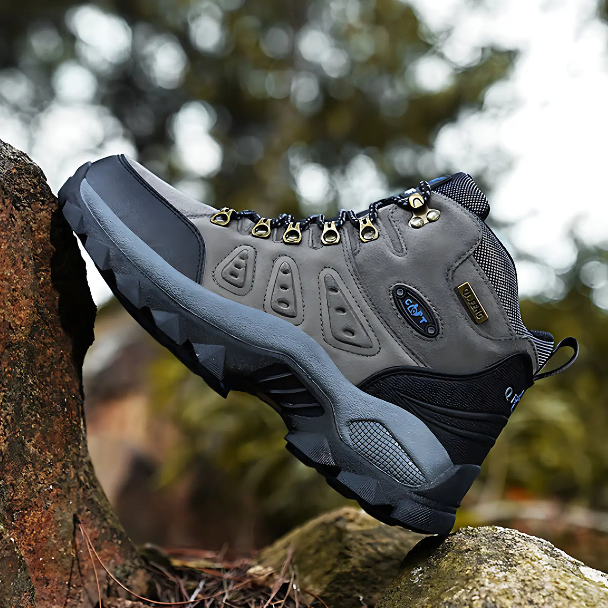 Chaussure de randonnée montante
