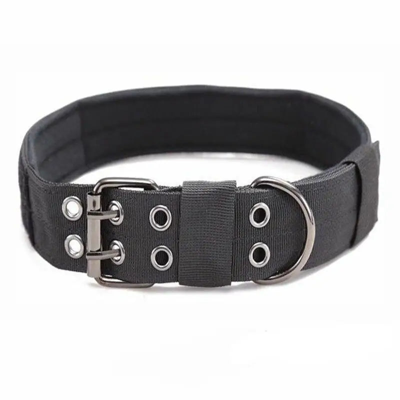 Collier chien militaire