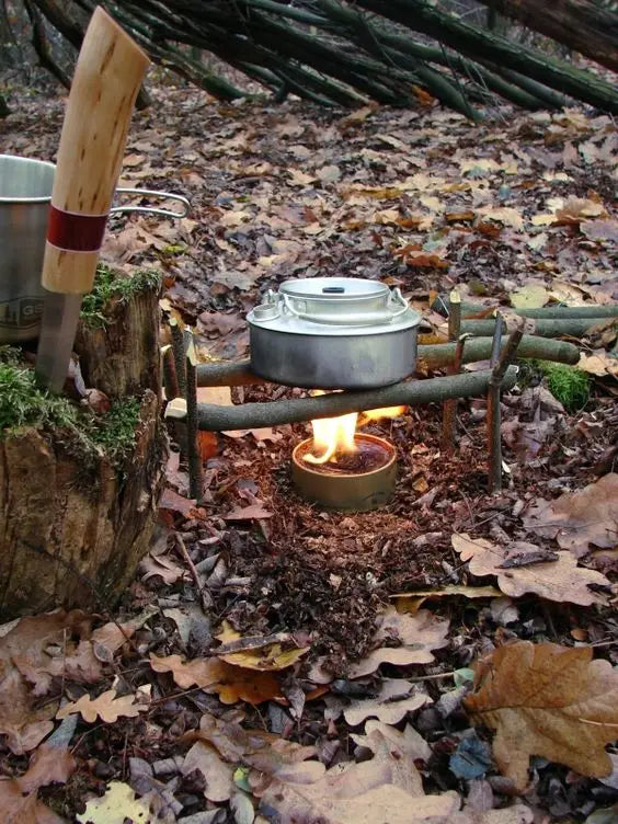 comment-se-nourrir-en-survie