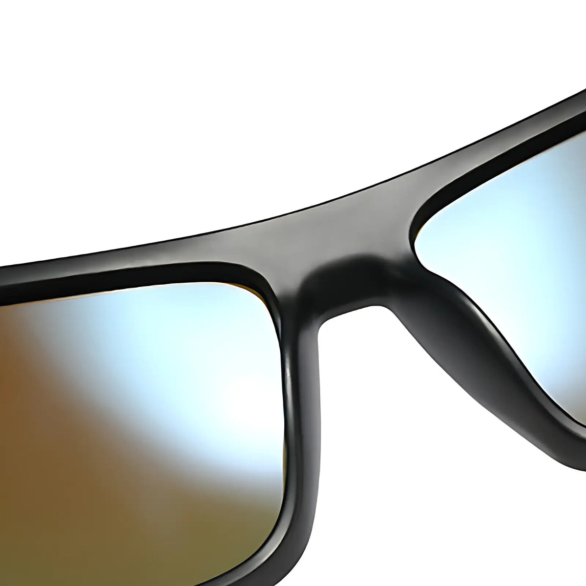 Lunettes polarisantes pour la pêche