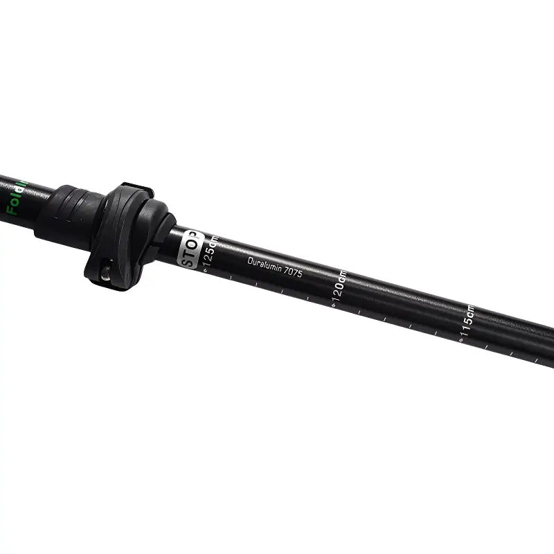 Meilleur baton de trail